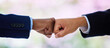 © peopleimages.com - Hands, fist bump and business people in office with partnership, respect and agreement for teamwork. Employee, connection and synergy with collaboration, support and solidarity in corporate workplace