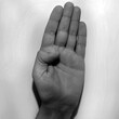 Letter B in American Sign Language (ASL) for deaf people, black and white monochrome photo of a hand