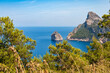 Schroffe, steil in das Meer fallende Felsen auf  Cap Formentor, der nördlichsten Spitze der balearischen Insel Mallorca mit Pflanzen und Bäumen im Vordergrund
