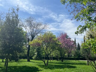 spring in the park