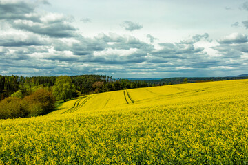 Wall Mural - Eine kleine Wanderung auf den Höhenweg der Stadt Schmalkalden mit typischen Aprilwetter - Thüringen - Deutschland