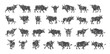 Wall street bull black logo vector set. Hoffed cattle horned artiodactyla animal power health money wealth finance bonds stock exchange symbol, white background isolated icons