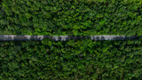 Fototapeta Uliczki - Aerial view asphalt road and green forest, Forest road going through forest view from above, Ecosystem and ecology healthy environment concept and background, Road in the middle of the forest.