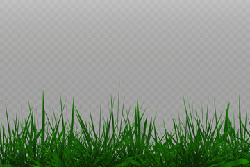 Wall Mural - Grass border, vector illustration. Vector grass, lawn. Grass png, lawn png. Green grass with sun glare.	
