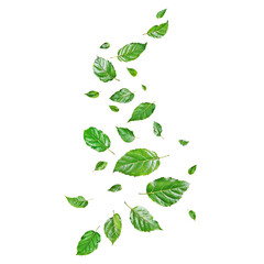 Wall Mural - green leaves flying in middle of the air
