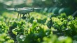 
Witness the fusion of 5G and smart agriculture as AI drones and robot farmers monitor hydroponic plant health. Agriculture drones revolutionize research, epitomizing the future of farming.