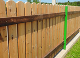 Fototapeta Tulipany - Wooden fence with copy spase