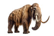 Prehistoric Mammoth isolated on transparent background