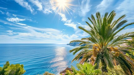 Wall Mural - A beautiful view of the sea with a palm tree on a sunny day, offering a tranquil and picturesque scene