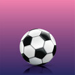 Football Confetti Pink Blue German Colors