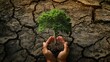 Green hands holding tree growing on cracked earth. Saving environment and natural conservation concept. 