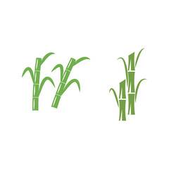 Wall Mural - Sugarcane logo vector template symbol design