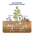 © VectorMine - Soil food web and nutrient cycling as plant biological cycle outline diagram, transparent background. Labeled educational scheme with old leaves decomposition, nitrogen fixation.