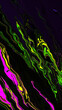 Bright fluid purple pink black yellow neon green texture background. Abstract liquid neon light wavy line. Art trippy digital glitch backdrop. Banner. Card. tech. NFT pattern. Rock. Marble texture.