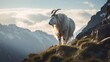mountain goat in the mountains(wall paper)