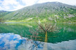 Multinskiye lake, Altai. Russian nature