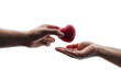© chathuporn - Adult hands giving a red heart, health care, organ donation, family life insurance, world heart day, world health day, praying concept