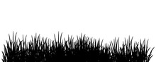 Black Silhouettes Of Grass Isolated On Transparent Background.