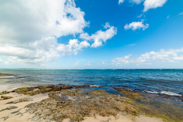 Wall Mural - Blue sky with clouds over a rocky shore