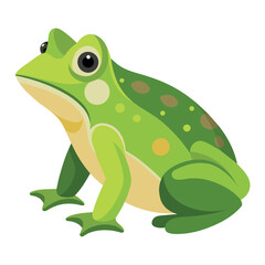 Sticker - Frog flat vector illustration, a frog vector art illustration white background