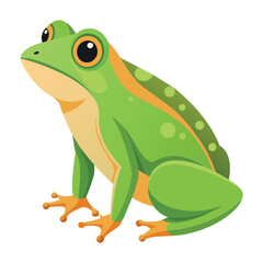 Sticker - Frog flat vector illustration, a frog vector art illustration white background