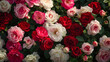 A cluster of fragrant roses in various shades of pink, red, and white, their velvety petals unfurling in the summer sun and filling the air with their sweet and intoxicating scent