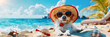 dog on the beach, Dog Wearing Summer Shirt with Sunglasses on Tropical Beach.. 
