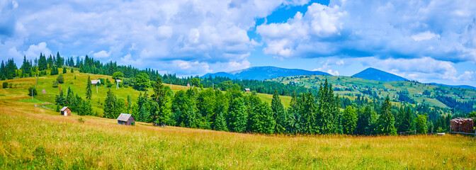 Wall Mural - Panorama of the mountain valley, Yablunytsya, Ukraine