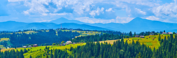 Canvas Print - Panorama of the mountain meadow (polonyna) and silhouette of Chornohora Range, Carpathians, Ukraine