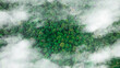 © Photo Sesaon - aerial view of fog and dark green forest Rich natural ecosystem, rainforest, natural forest conservation concept.
