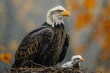 Bald Eagle Nest with Baby Eaglet Generative AI