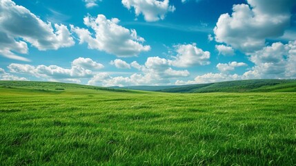 Poster - Green field with clouds and grass in the background