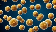 Illustration Of Staphylococcus Aureus Coccoid Bacteria