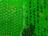 Fototapeta Lawenda - Aerial view of a man standing in a green field.