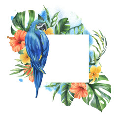 Wall Mural - Tropical palm leaves, monstera and flowers of plumeria, hibiscus with blue-yellow macaw parrot. Hand drawn watercolor botanical illustration. Template frame square isolated from the background