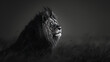 lion king minimal portrait wildlife animal predator pride African