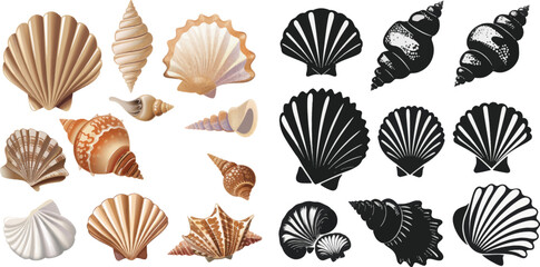 Pearl seashell silhouettes