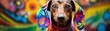 A dachshund dog wearing a colorful scarf with floral pattern, in front of a blurred background of bright colors.