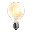 © Ricardo Algár - Luminous light bulb, Lit tungsten light bulb highlighted on a transparent background.