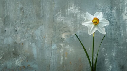 Sticker - White flower in vase on table