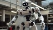 Advanced Humanoid Robot in a Laboratory Setting