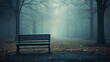 Empty park bench in a foggy setting, symbolizing absence and the quietude of depression.