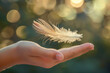 A hand holding a feather