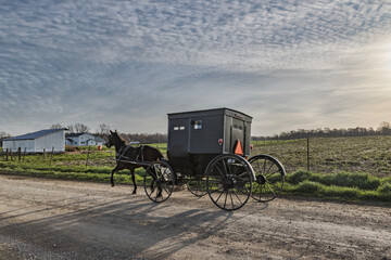 Wall Mural - Amish buggy on rural road with cloudy sky,