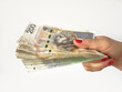 Stack of zl pln Polish zloty banknotes holding in female hand for shopping isolated on white