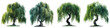 Jungle Weeping Bottle brush trees  Hyperrealistic Highly Detailed Isolated On Transparent Background Png File