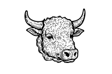 Wall Mural - Vintage Cow Head Sketch: Vector Hand-drawn Illustration of Dairy Cattle.