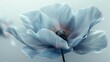 Surreal blue poppy flower with delicate translucent petals