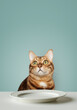 Funny portrait of a hungry cat on a green background, near an empty plate on the table.