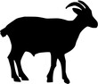 goat icon. goat silhouette
